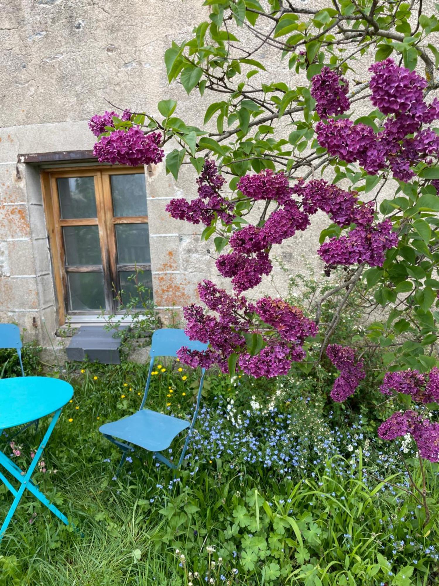 Chez Fabrice Bed & Breakfast Le Pertuis Екстериор снимка